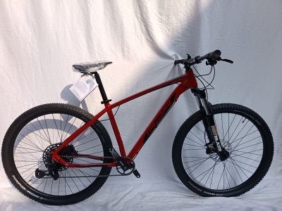 MTB 29"